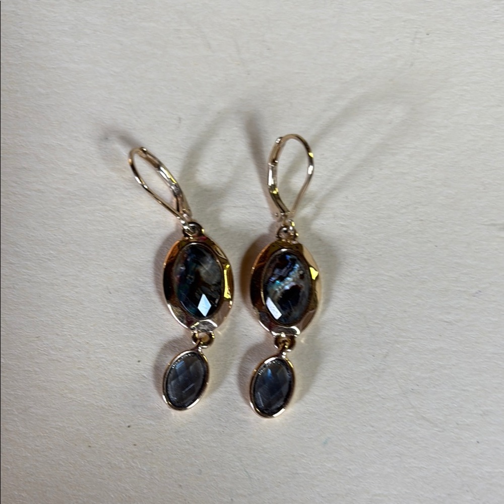Elegant Silver and Blue Drop Earrings